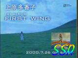 myfirstwing.jpg (4217 �Ӧ줸��)