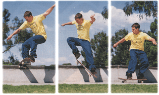 noseslide1.gif (42932 �Ӧ줸��)