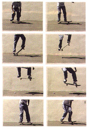 ollie.jpg (53459 �Ӧ줸��)